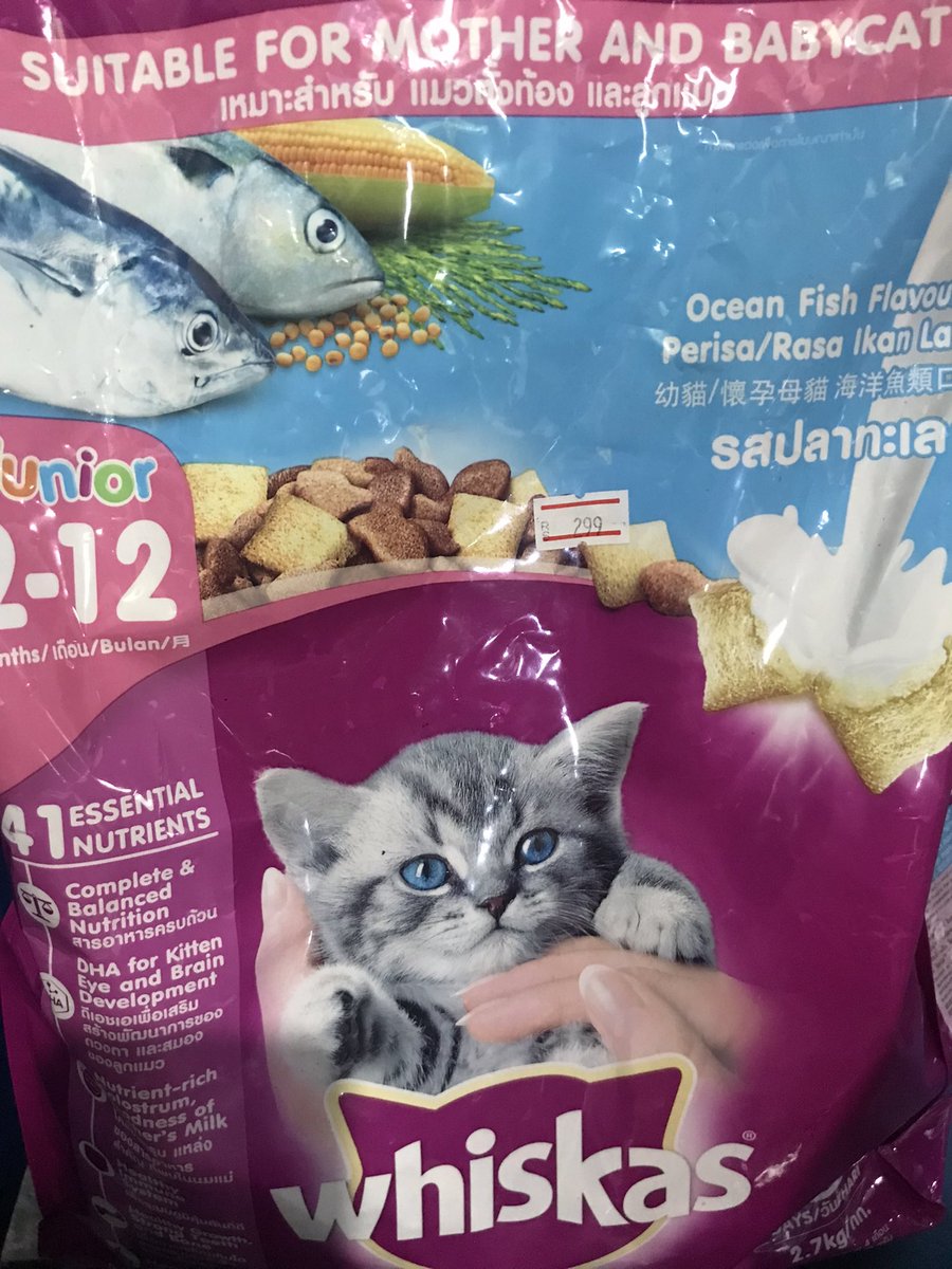 มันไม่ชัดหรอว่ามันคืออาหารแมวมันไม่ชัดใช่มั้ยหลานถึงถามข้าวพี่หรอ;-;;