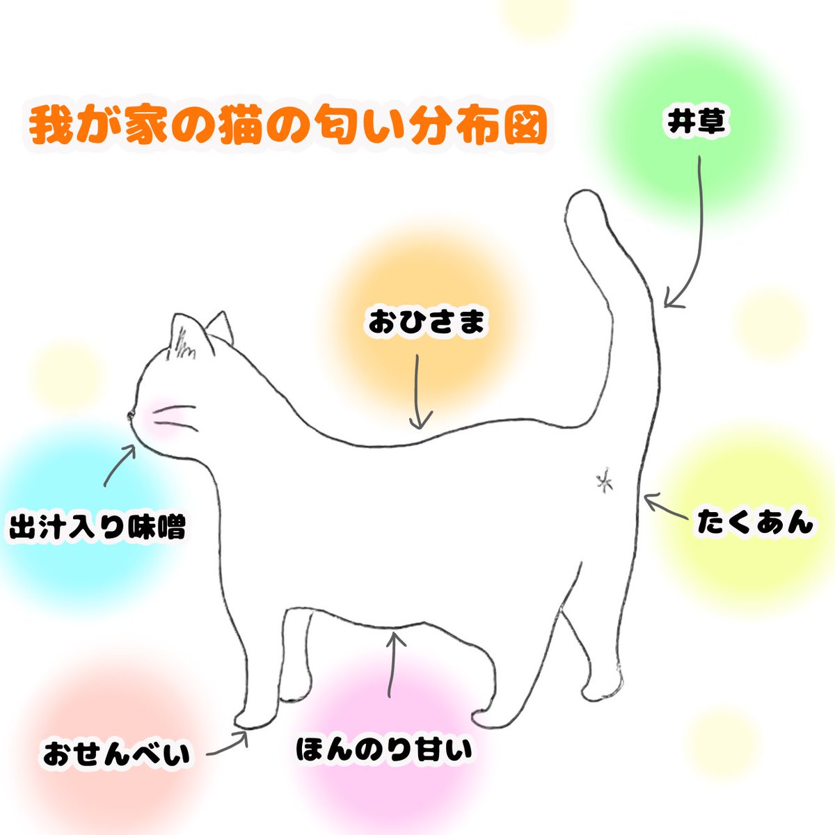 funvient's tweet photo. 猫吸い沼から抜けられない🐈
皆さんの猫さんの匂いはどんな感じか気になってます。

#ねこ
#猫
#ネコ
#ニャンコ
#ねこ部
#cat
#にゃんだふるらいふ
#猫好きさんと繋がりたい
#猫のいる風景
#猫のいる生活
#猫の歯磨き
#猫のいる暮らし
#猫の健康を守りたい
#ペットの口腔ケア
#Funvient https://t.co/9T3NI9Pxw0