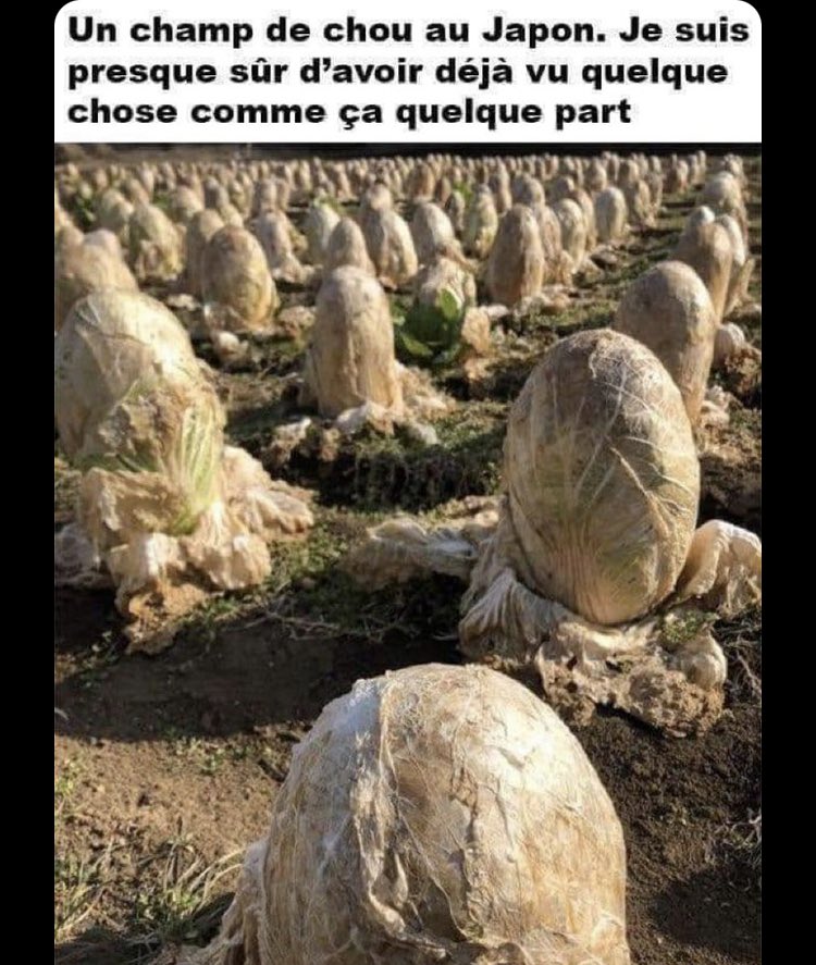 olivier_degrace's tweet photo. @rougailtomate https://t.co/ySriPpYBZ1