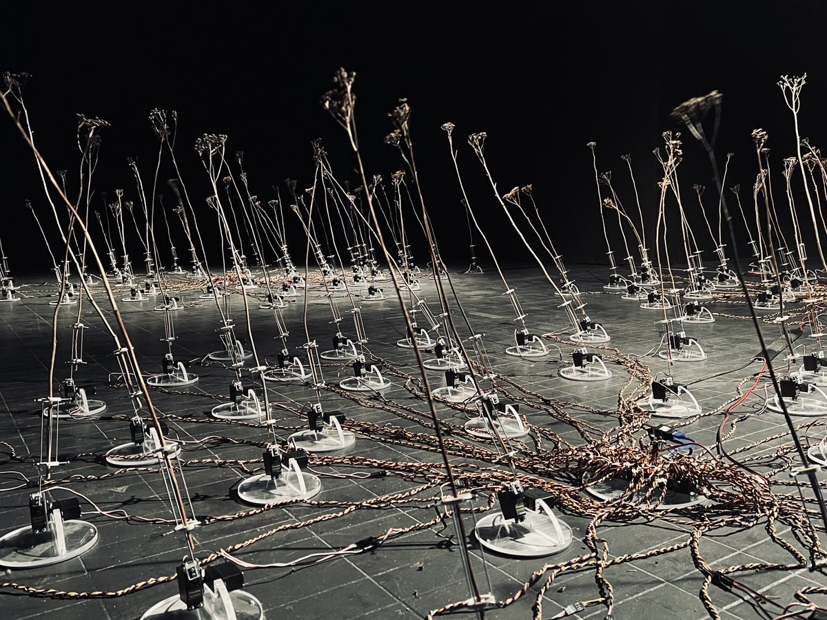 These days #Ljubljana bursts w/ many not-to-be-missed events. If you happen to be around join us today at 8pm at the exhibition opening 'tele-present wind' by #DavidBowen. Prior to the opening at 6pm the artist will have a talk <a href="/RampaLab/">RampaLab</a>.

#creativeuseofAI #EUDigitalDeal