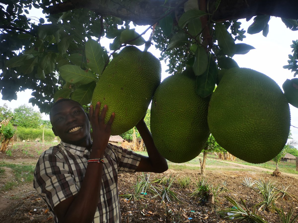 Mathew Dukson tweet media