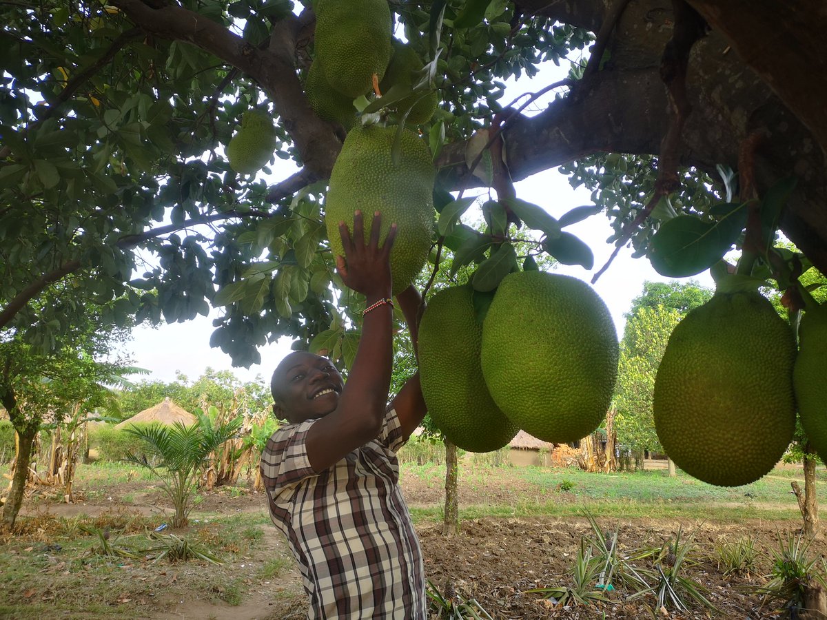 Mathew Dukson tweet media