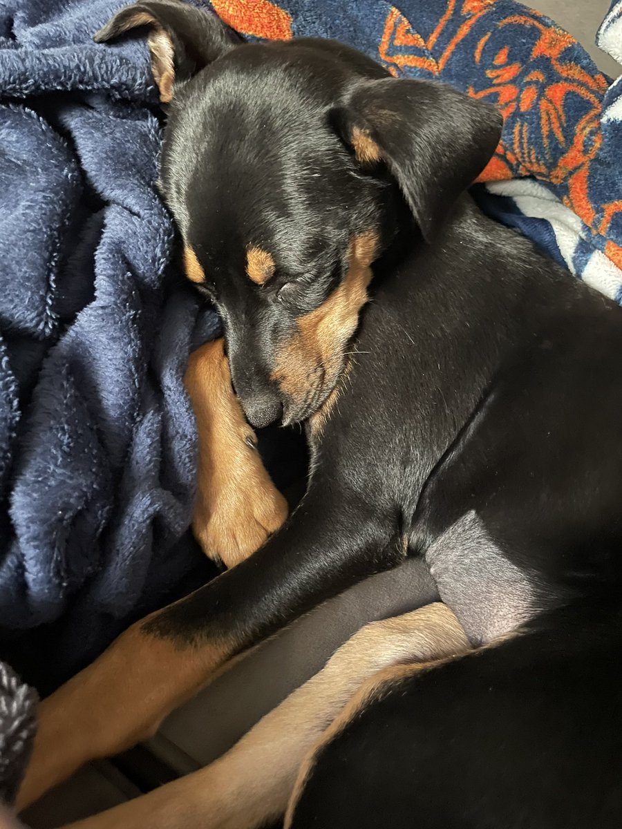 WineStainedLife's tweet photo. “To you I can admit: I’m just too soft for all of it.” #LolaBaby https://t.co/rskGlN4rCj