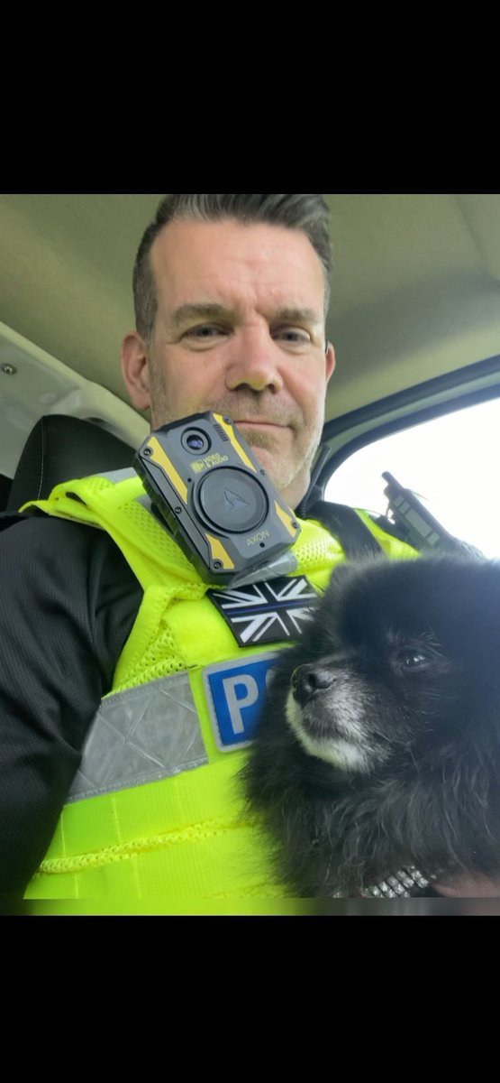 MikeDeFraine's tweet photo. Anyone need a dog unit? 😂 Had the pleasure of reuniting this cute little fella with his  very grateful owner, nice to do something nice 😊 https://t.co/FRpKJgAIOv
