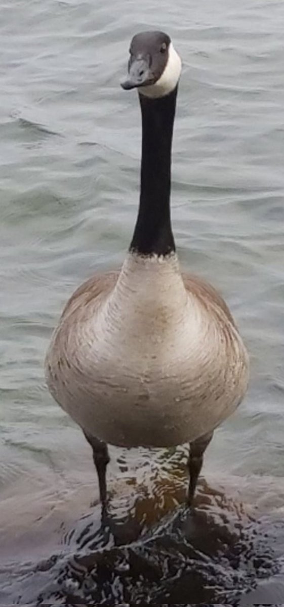 <a href="/TheDrillSquad/">The Drill Squad DJ's</a> <a href="/djmagictricks/">DJ Magic Tricks</a> <a href="/CIUT895FM/">CIUT 89.5 FM</a>
<a href="/Skatez99/">Samantha</a> <a href="/rasTIZfarian/">TiZ</a> <a href="/TheCocoCabana/">2pacShak (SCREEE)</a> <a href="/BikeManJoe/">Joseph Kelly</a> <a href="/coldmiamian/">telkorokster</a>  <a href="/arckives/">Stubbs Enterprises</a> <a href="/bigfanofoprah/">💜⚓🍍T. Sokyrko</a>  <a href="/mingle_sha/">ડꫝꪖ_ꪑⅈꪀᧁꪶꫀ</a> <a href="/yourbikeangel/">Ⓑⓘⓚⓔ Ⓐⓝⓖⓔⓛ</a> @rorytate  <a href="/nubeing/">Nic OzJam</a> <a href="/boxerheaven/">Nicole Farrugia</a> <a href="/CarolDarr/">Carol Darr</a>  <a href="/MtothaAZ/">MAZ</a> <a href="/Kevtheplumber11/">Kevin cunning</a>
 Favorite day of the week!🔥🔥🔥🔥🔥🔥🔥🔥🔥🔥🔥