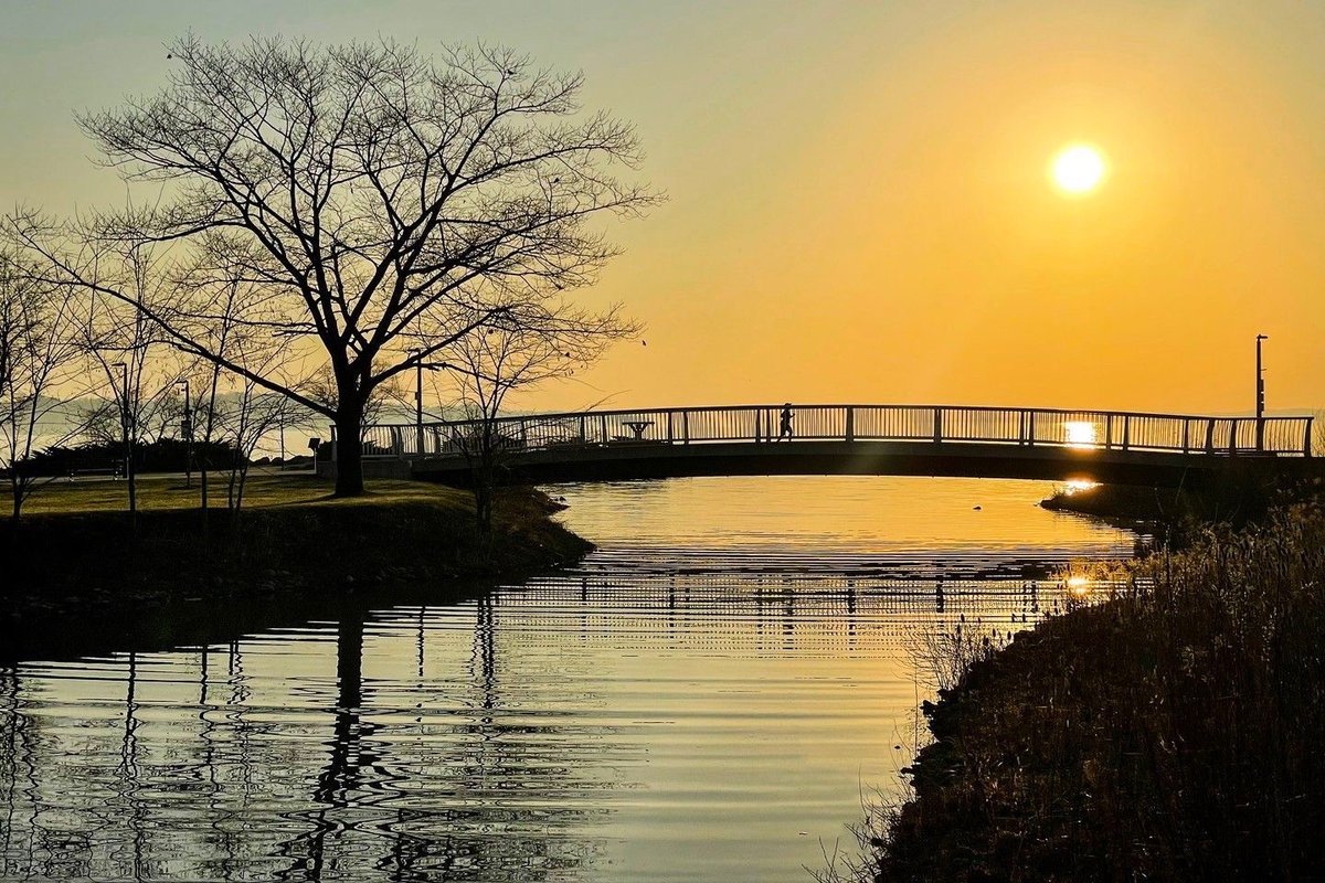 tourismbarrie's tweet photo. Take a stroll on the waterside! 🚶‍♀️🌅 There's no better way to appreciate the beauty of Barrie's waterfront than with an early morning walk. What's your favourite view along the way? 

📷: @tiffanyparadisphotography2018 (IG)

#BarrieViews #MorningStroll #WaterfrontWalks https://t.co/TqjJxtMU2w