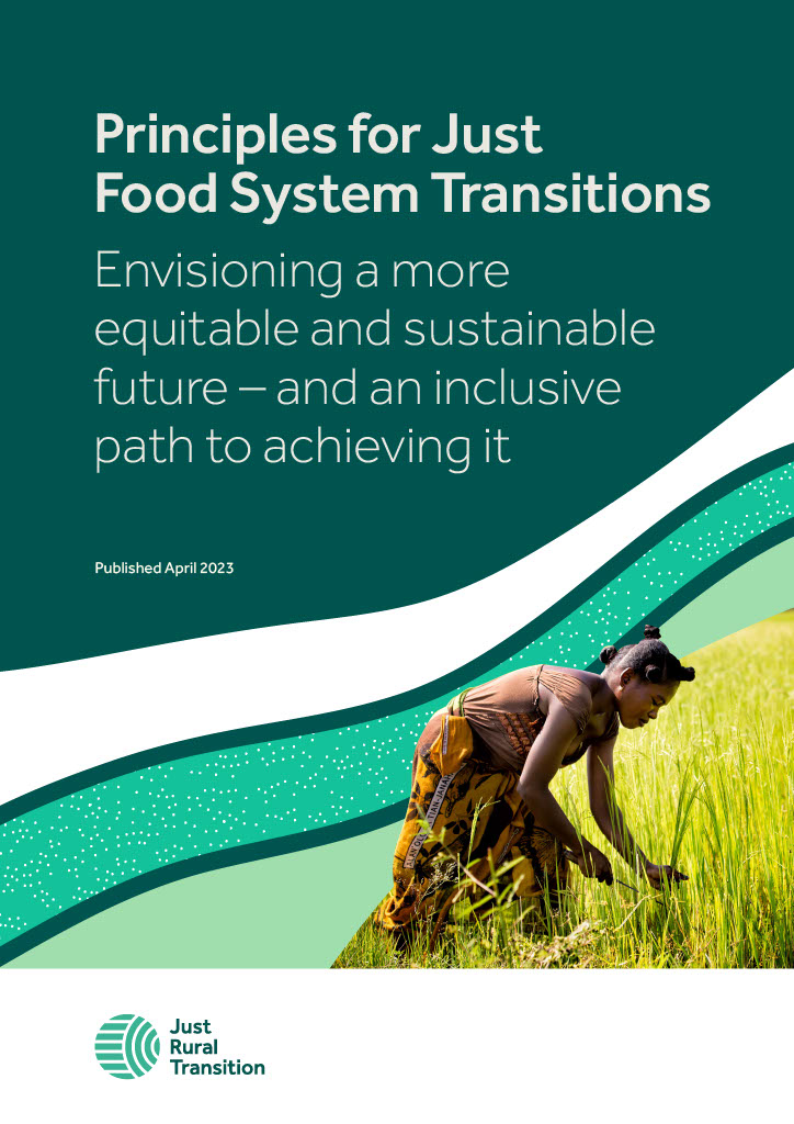 Just Rural Transition tweet media