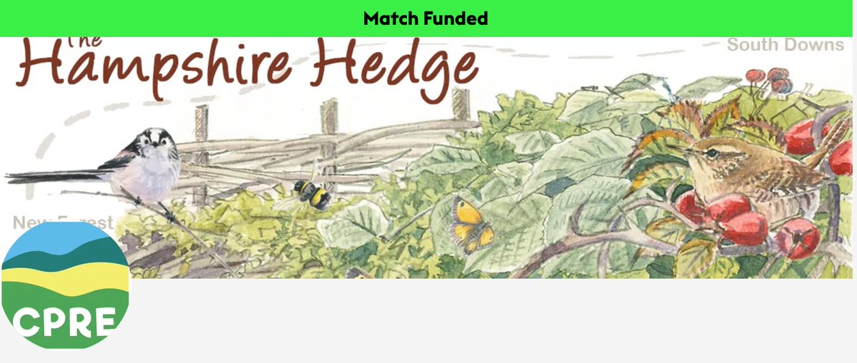 Please donate to help CPRE Hampshire, the Countryside Charity, create a big hedge to join up the New Forest and South Downs National Parks. We've lost half of our hedegerows since World War II and with them has gone a huge amount of biodiversity donate.biggive.org/campaign/a0569…