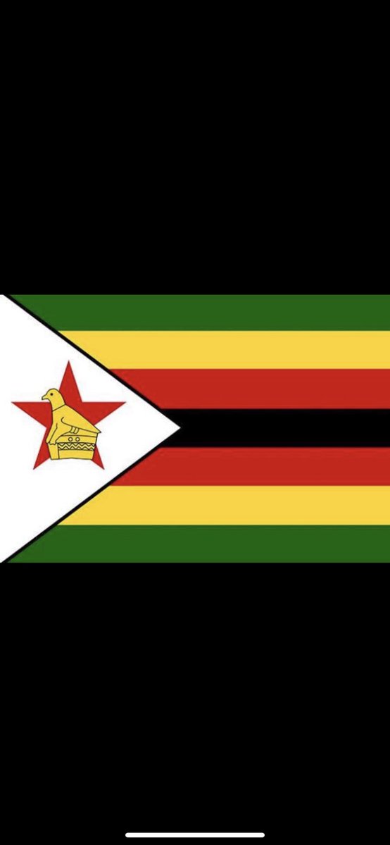 kekee__'s tweet photo. The flag, the face #zim43 https://t.co/Ews2xYuAdE