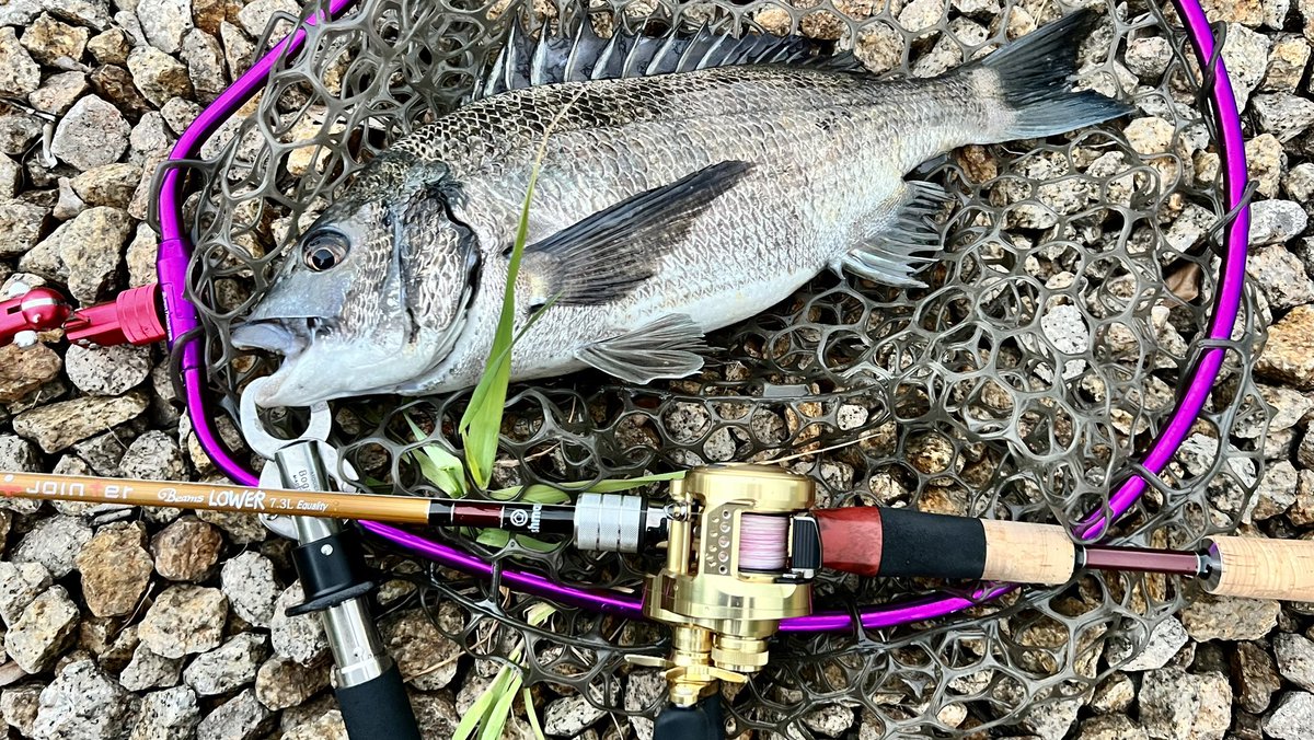 Hopi@FF11_Odin tweet media