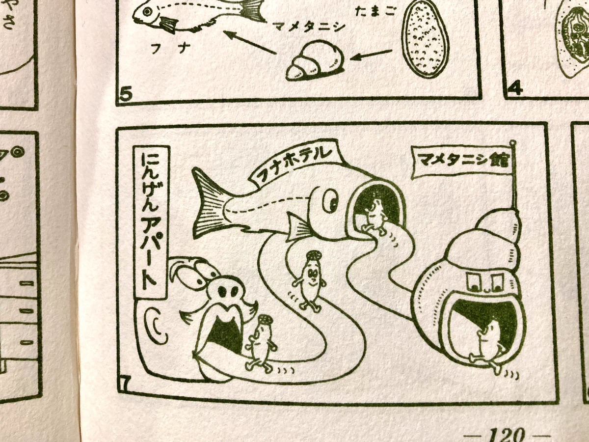 唐沢なをき on X: 