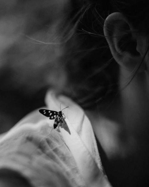 literlandweb1's tweet photo. "A menudo damos por hecho las mismas cosas que más merecen nuestra gratitud".
Cynthia Ozick
📷Robert Rieger https://t.co/67Ud8a89NZ