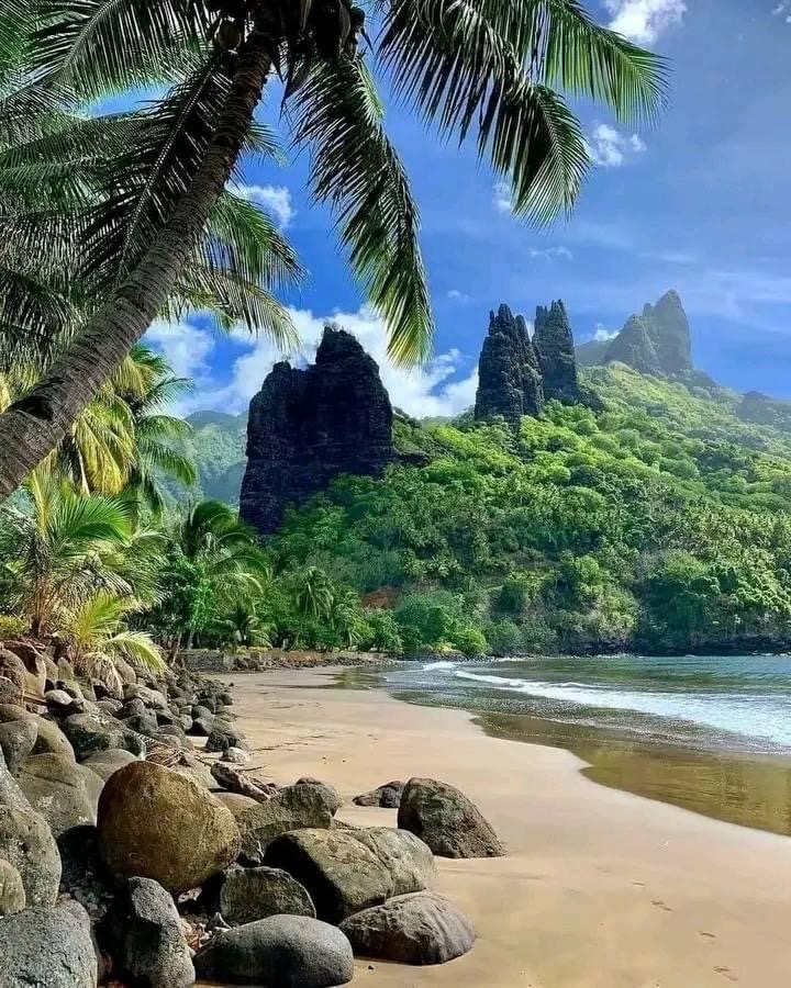 KBurkebooks's tweet photo. Wish this was my view today! “The jungle speaks to me because I know how to listen.” –  Rudyard Kipling

#tuesdaymood #goodmorning #happytuesday #jungle #beach #nature #beautifulviews #outdoors #rudyardkipling #goodmood https://t.co/LOKLnLw1Le