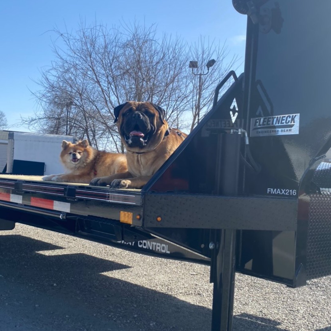 Meet the #DCDog dream team, keeping things in order at Spencer Trailers Inc this #TrailerTuesday! 🐶😁 These furry friends are striking a pose on the LPT Low Profile Telescopic Dump trailer and FMAX 210 like pros! 📸 #DiamondC #DreamTeam