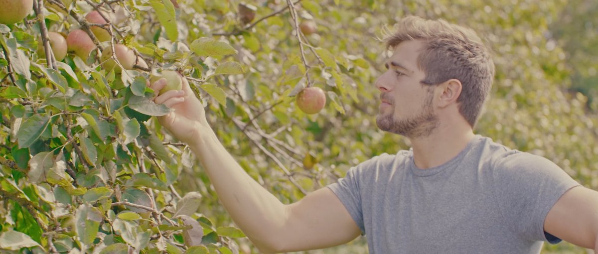 CranesDrinks's tweet image. Our Premium Apple Cider is crafted using only the finest local British apples 🍎🇬🇧From orchard to bottle, we are committed to bringing you the best-tasting cider using the freshest ingredients #CranesCider #LocalIngredients #BritishApples #CraftCider