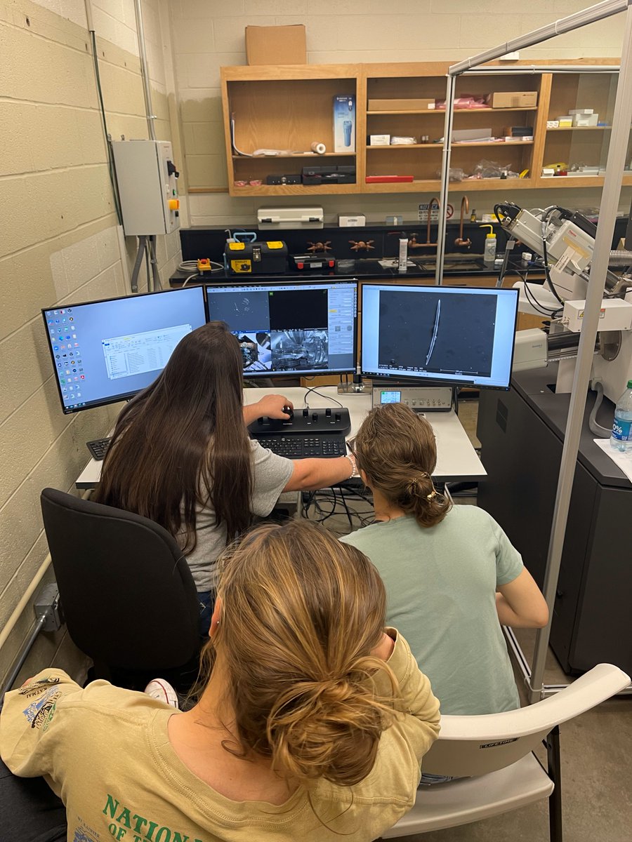 redlandscougars's tweet photo. Last week, the students in our sponge research course visited The University of Oklahoma's microscope lab, where they got to use their scanning electron microscopes. They imaged gemmules from samples they collected in different places in Oklahoma.
#RedlandsCC #SpongeResearch https://t.co/qWsCjToHMD
