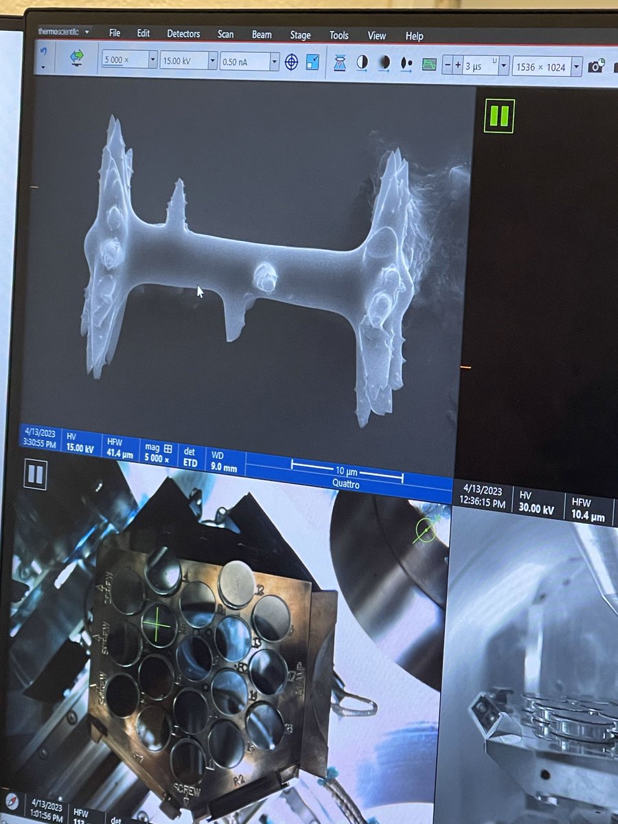 redlandscougars's tweet photo. Last week, the students in our sponge research course visited The University of Oklahoma's microscope lab, where they got to use their scanning electron microscopes. They imaged gemmules from samples they collected in different places in Oklahoma.
#RedlandsCC #SpongeResearch https://t.co/qWsCjToHMD