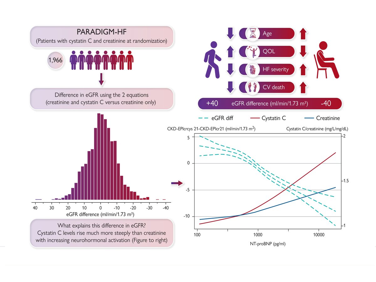Paolo Tolomeo (@paolotolomeo2) on Twitter photo Glad to share our paper about Cystatin C in 👥 with #HFrEF <a href="/ESC_Journals/">European Society of Cardiology Journals</a>. We aimed to describe the clinical characteristics across the difference between the two eGFR equations (CKD-EPI crcys - CKD-EPI cr). A negative eGFR difference (CKD-EPI crcys < CKD-EPI cr) associated with Glad to share our paper about Cystatin C in 👥 with #HFrEF <a href="/ESC_Journals/">European Society of Cardiology Journals</a>. We aimed to describe the clinical characteristics across the difference between the two eGFR equations (CKD-EPI crcys - CKD-EPI cr). A negative eGFR difference (CKD-EPI crcys < CKD-EPI cr) associated with