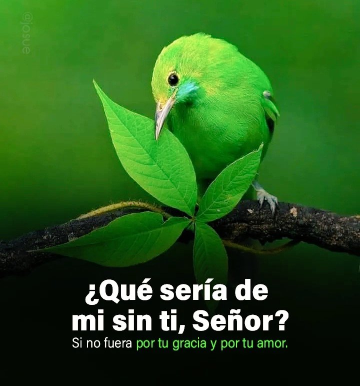 HAltisimo's tweet photo. ! Que sería de mí
Sin ti, amado mío!!❤️🙏 https://t.co/2BVVn9h5Px