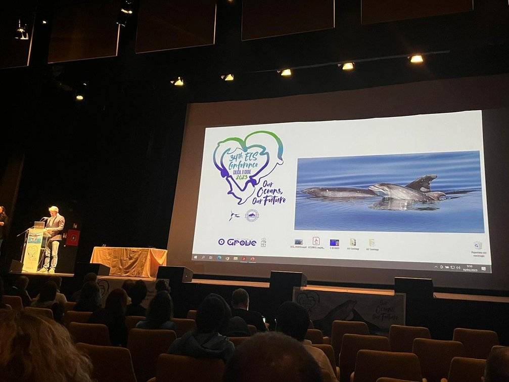 submon_'s tweet image. The 34th annual European Cetacean Society Conference has just begun! We&apos;ll be here in O Grove (Galicia) for three days of over 400 presentations, together with almost 600 other scientists sharing knowledge of #marinemammals 🐬🐋🌊

#ECSConference2023 #ECS2023 @EuroCetSoc