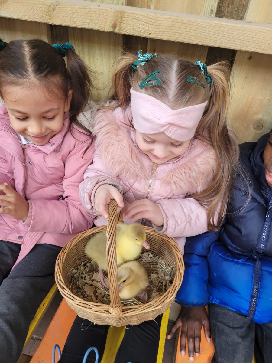 stpatrickscpa's tweet photo. How you learn so much more when you’re smiling and having fun 🥰 #fun #funatthefarm #year1 https://t.co/DRc3dhhjD5