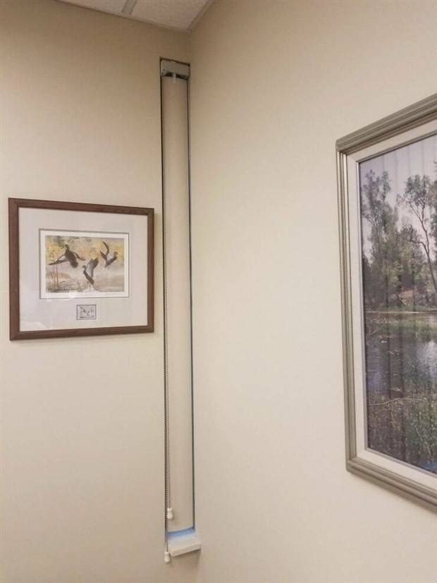 digontto_'s tweet photo. It's nice out, can you open the blind? https://t.co/jyPBvXhYm1