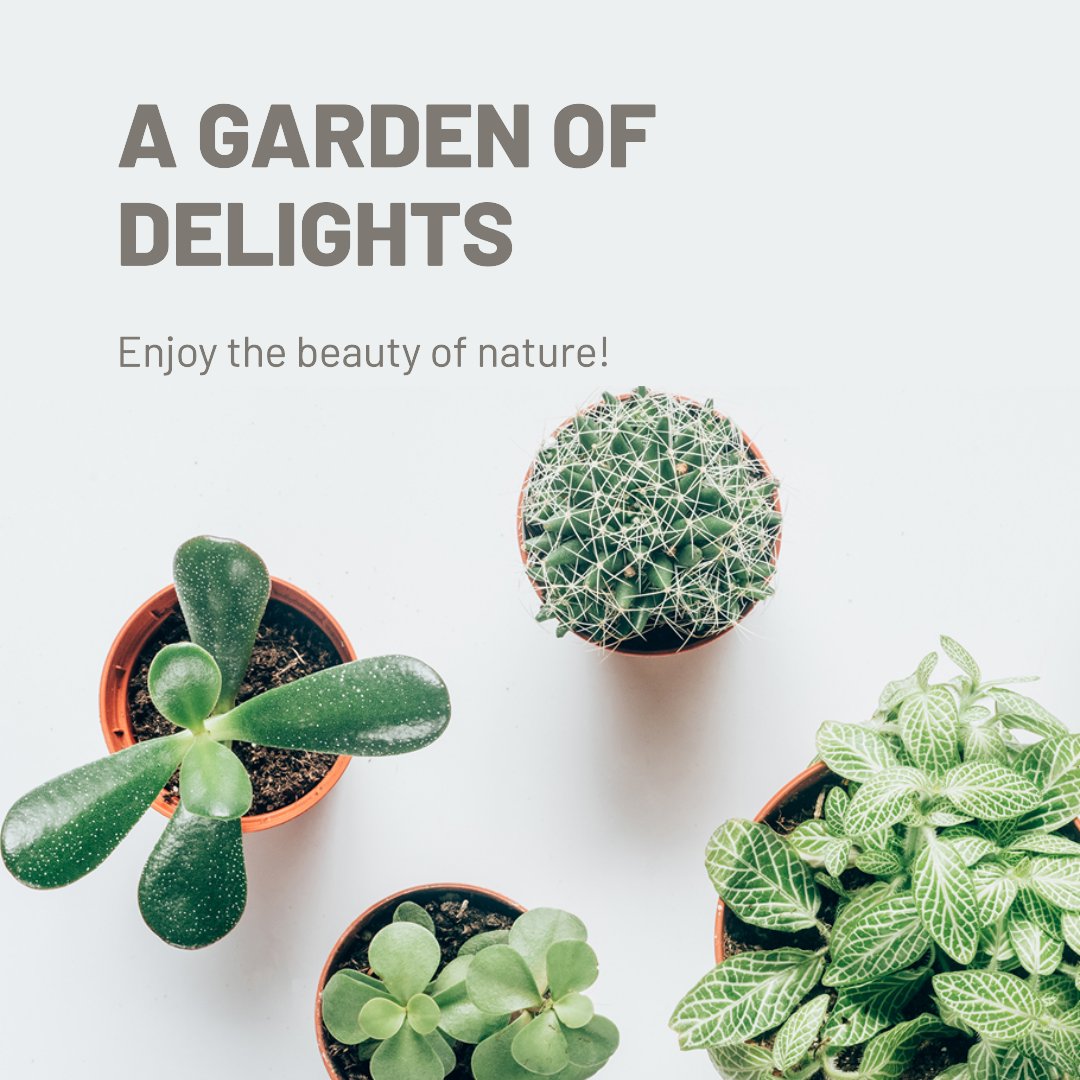 Global Gardens tweet media