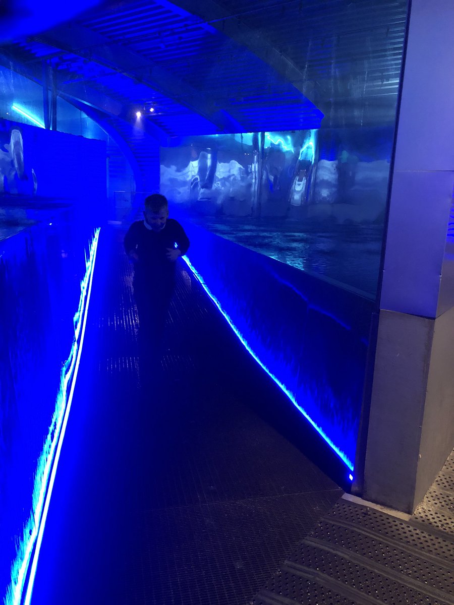 JonesMrsL's tweet photo. H was in his element exploring the water pavilion! Yes he was very wet 💦 😂 💦 @PrincipalSTH @STHAssistantHT @LeishmanMrs @StHelensYear5 @ScienceatStH1 🦁💙 https://t.co/gsMVxctJ1Z