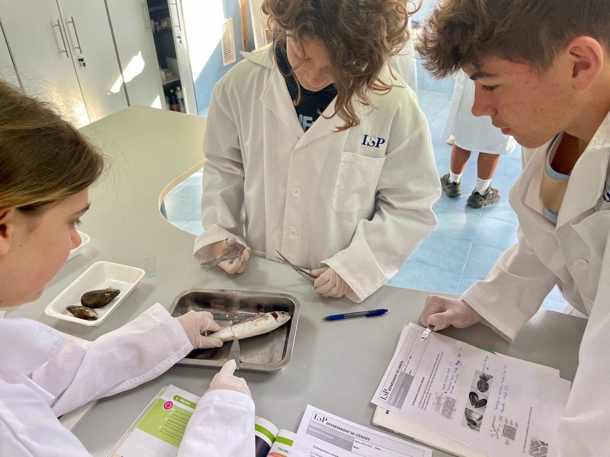 ColegiosISP's tweet photo. 1ºESO ha ido al laboratorio para estudiar las funciones vitales de circulación y respiración. Han podido observar el sistema circulatorio cerrado en peces y en lombrices, y el sistema circulatorio abierto en artrópodos.

#laboratorio #ISPsecundaria https://t.co/Vp3Zn0qslP