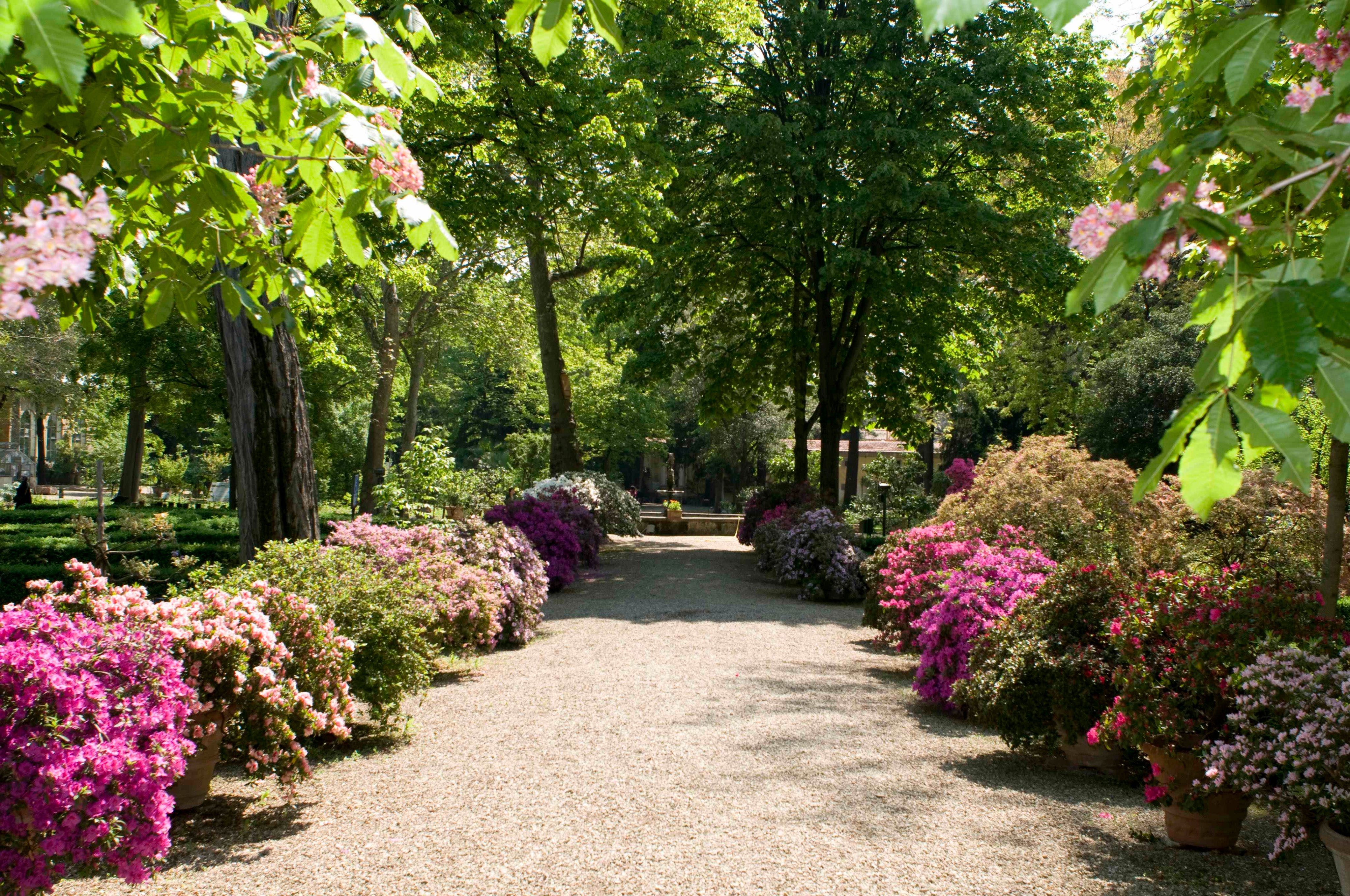 Флоренция питомник. Армавирский совхоз декоративных культур. Вашутино питомник растений. Сады боболи италия. Флоренция питомник.
