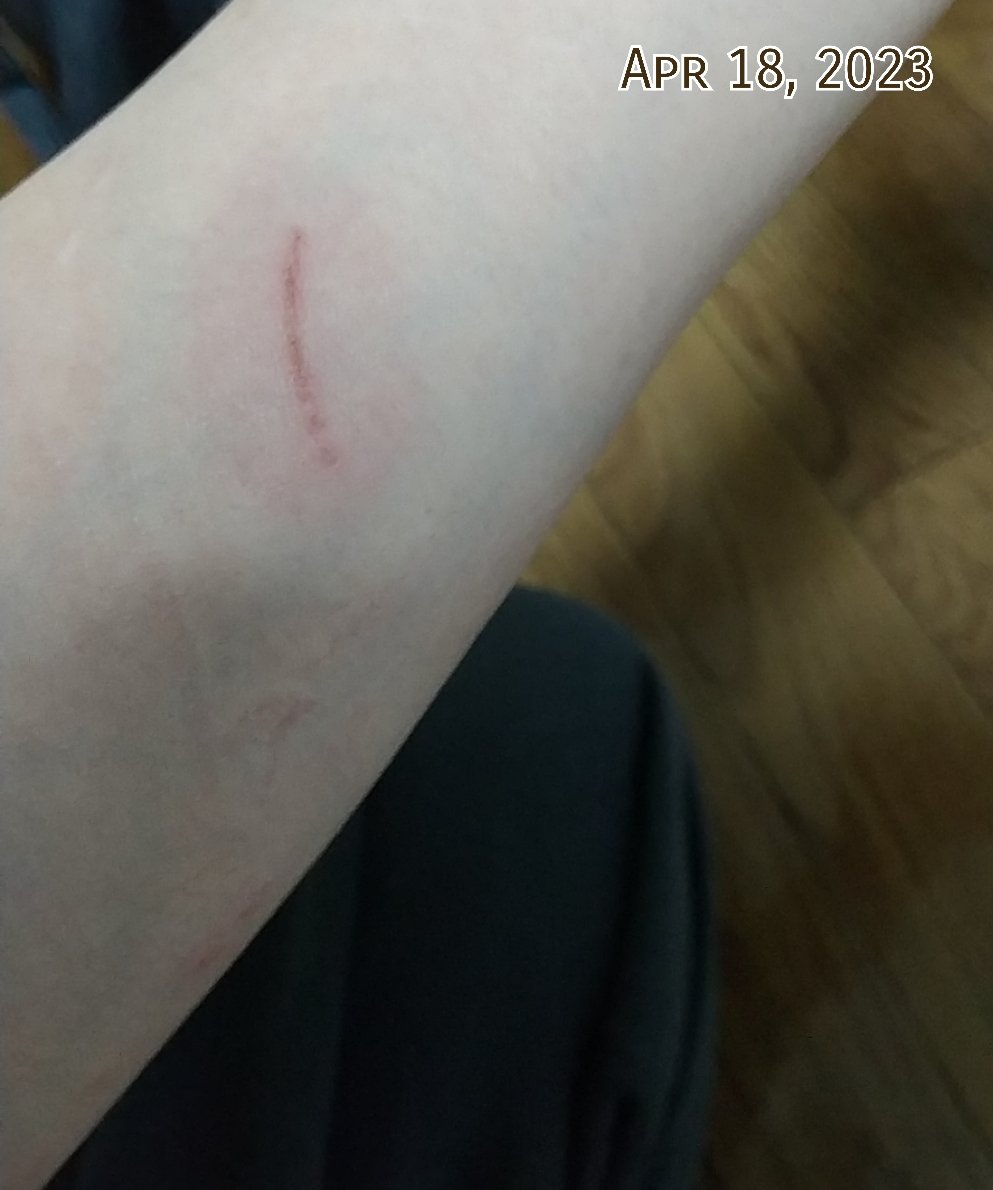 NozomiN9999's tweet image. My cell phone turned it off without permission after this tweet

風評被害や執拗な嫌がらせ等により就職しにくくなったり場合によっては家を買いにくくなったりカード審査に影響が出たりする人もいるのでは。未知数なネガティブは可視化できる事もある。

#集団ストーカー 
#ElectromagneticWave