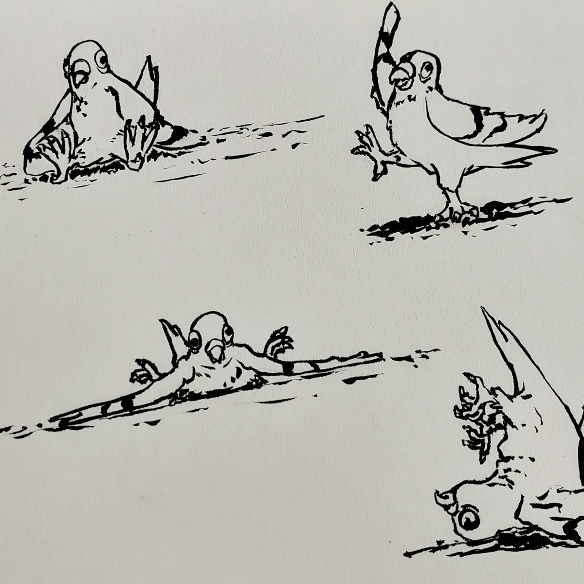 GiftOfDeath_'s tweet photo. Which #pigeon do you feel like today? :d
#ink #inkart #myart #traditionalart https://t.co/VGmru7g7Zs