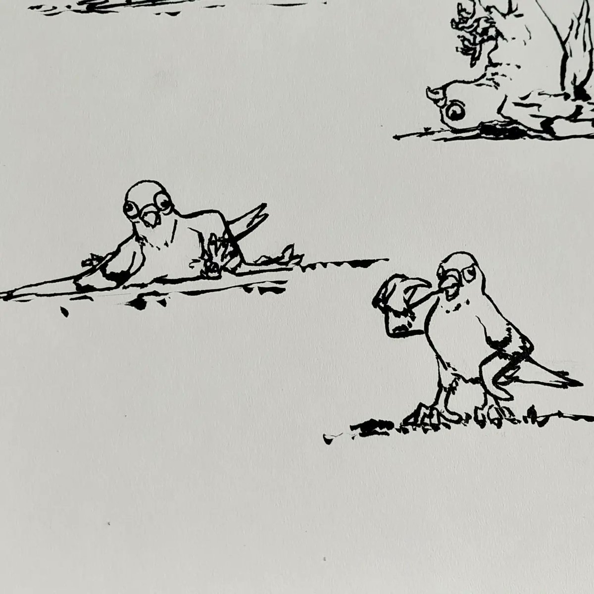 GiftOfDeath_'s tweet photo. Which #pigeon do you feel like today? :d
#ink #inkart #myart #traditionalart https://t.co/VGmru7g7Zs