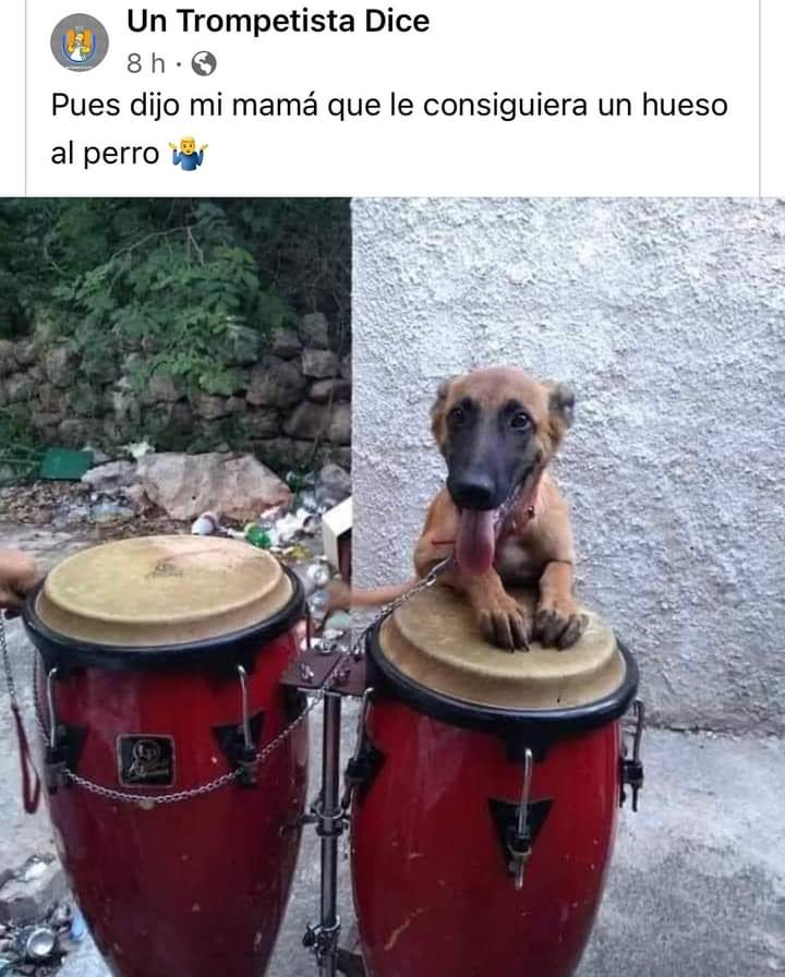 L4RG3's tweet photo. Perrito muerto de hambre que no tiene la disciplina, o el corage de buscar y tener un buen proyecto original o de covers o tributo. https://t.co/Pb7CAGhJjL