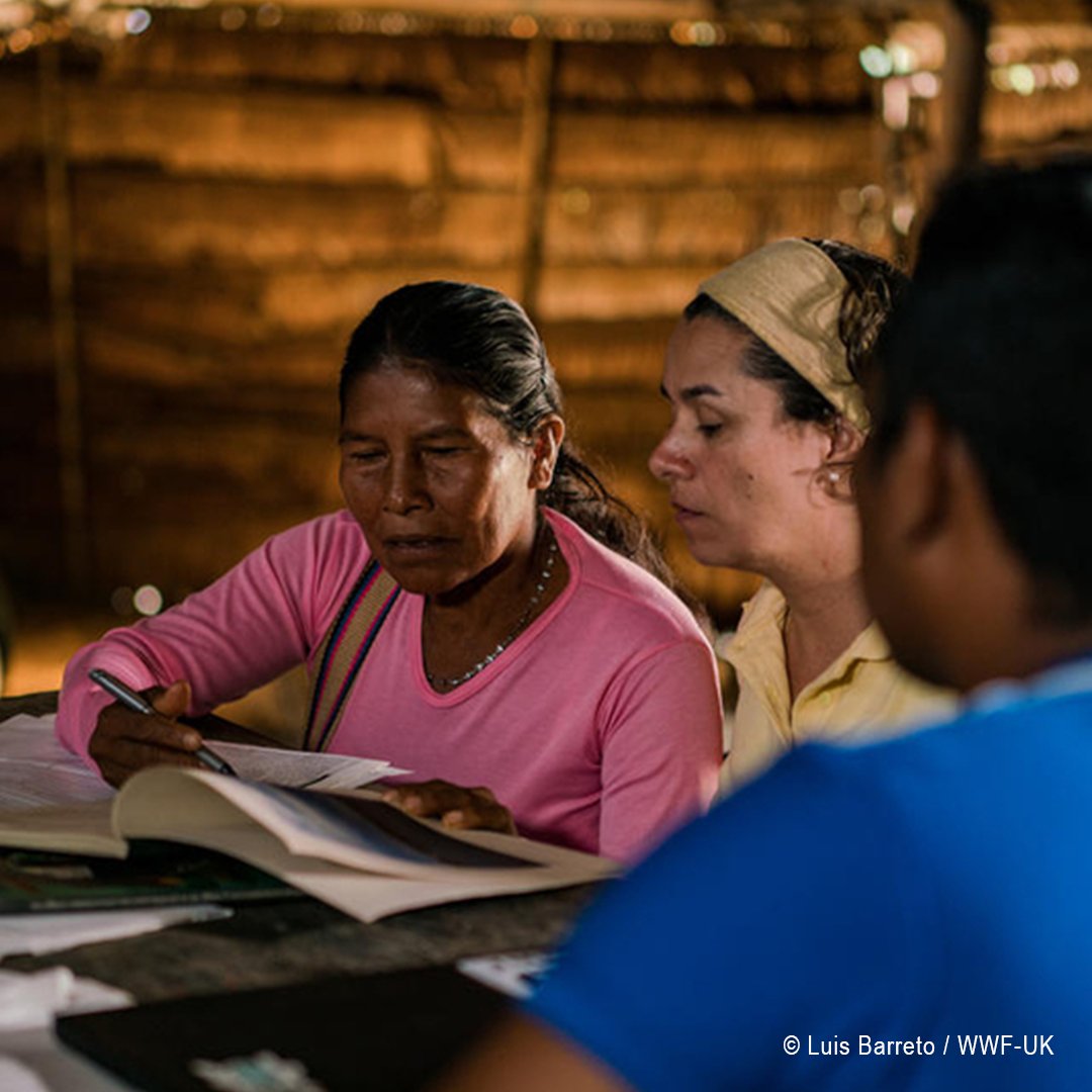 Indigenous peoples play an essential role in safeguarding nature – but are often denied involvement in key decisions.

☝️ It’s vital we help uphold their rights, respect their knowledge and appropriately support them to preserve their territories of life.