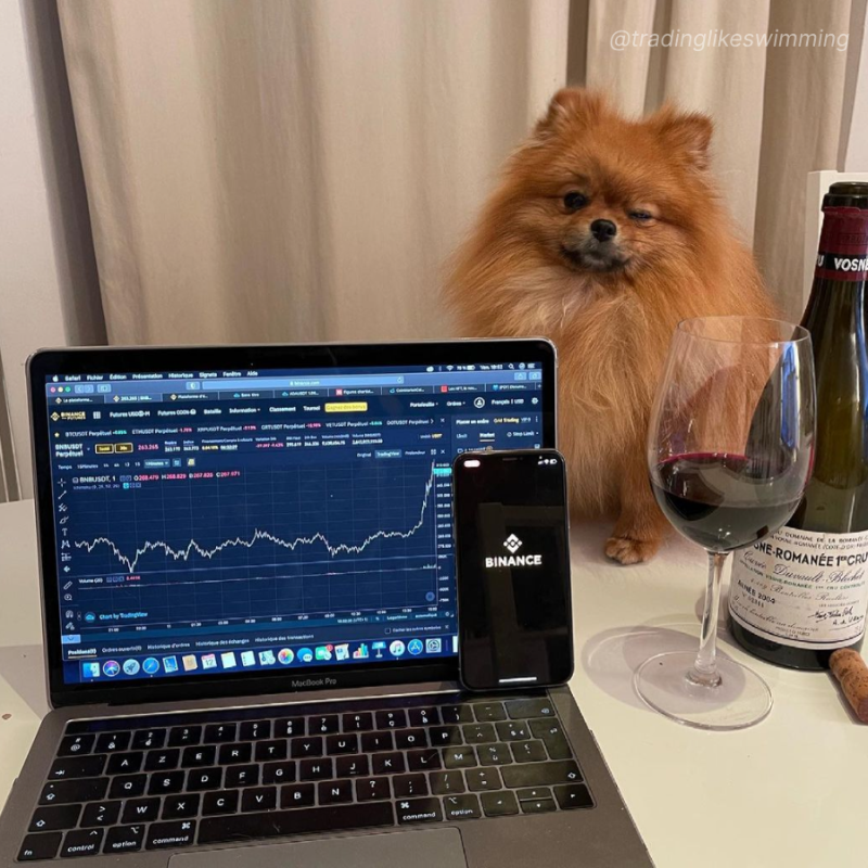 binance's tweet photo. Show us where you’re using your #Binance app for a chance to win $100! 🤳

Here’s how:
🔸 Retweet &amp; follow @Binance 
🔸 Take a POV photo of you using the app  
🔸 Share it using #MyBinanceApp  

The 10 most creative and unique entries win.

Swipe for examples 👉