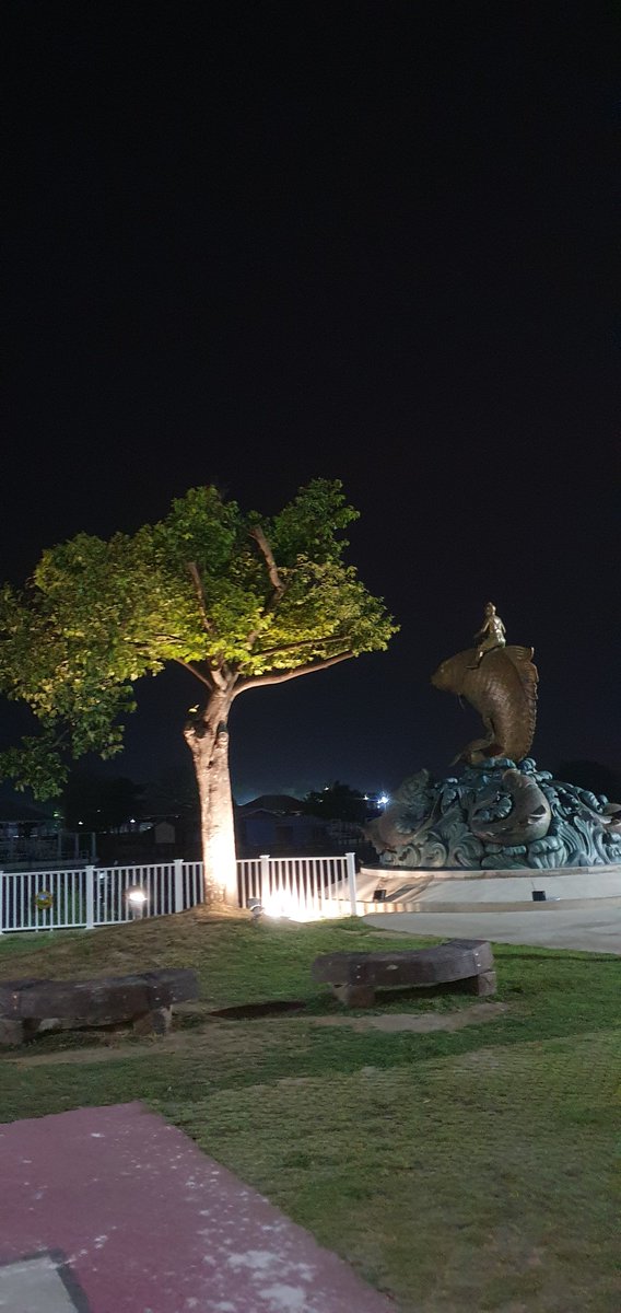 ว่างๆมานั่งดูตาไข่ขี่ปลา😁😁😁