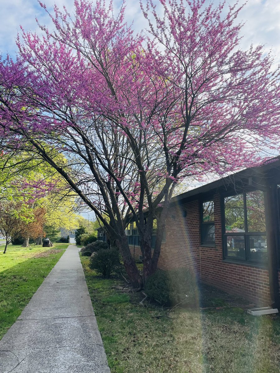 Officially spring at Hazelwood.