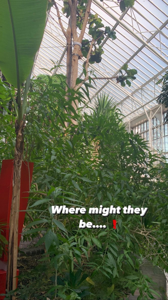 ThinkSpons's tweet image. And just like that it’s lunchtime. Who’s excited about our second structured networking activity taking place IN the conservatory! #uniquevenue #creativenetworking #think29 #conservatoryquiz #sponsorshiprethinked