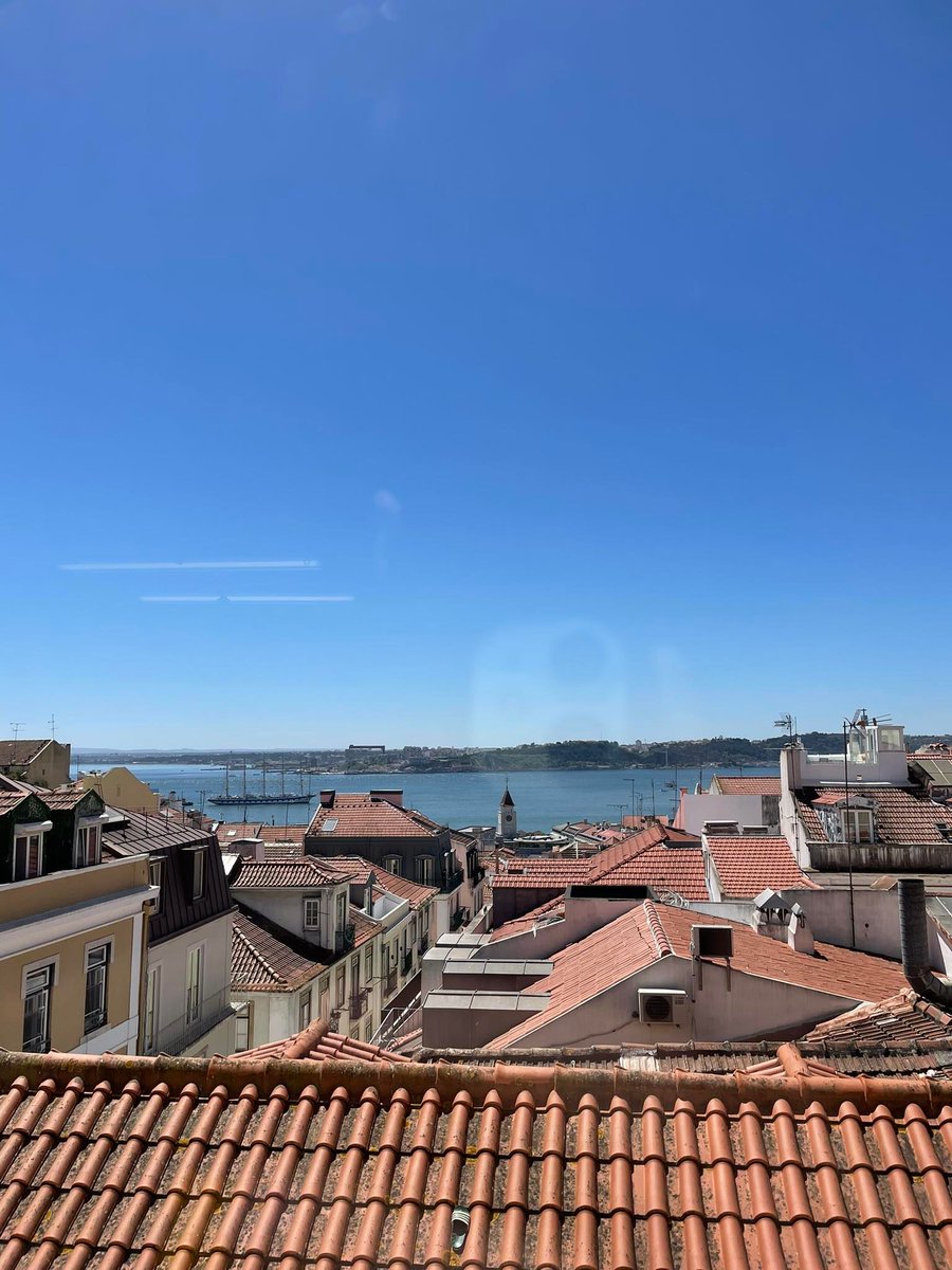 WriteoCreative's tweet image. Why does working in this Lisbon library beat any coffee shop or co-working space?

☕40 cents a coffee.
💻Fast and free Wi-Fi.
🤫Enforced silence.
🏛 Beautiful building.
🌅Beautiful views, even with an iPhone reflection.

I am one content copywriter right now!