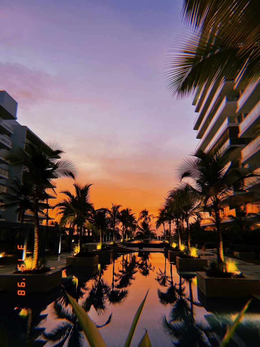 M. Camila Cardenas F., MD tweet media