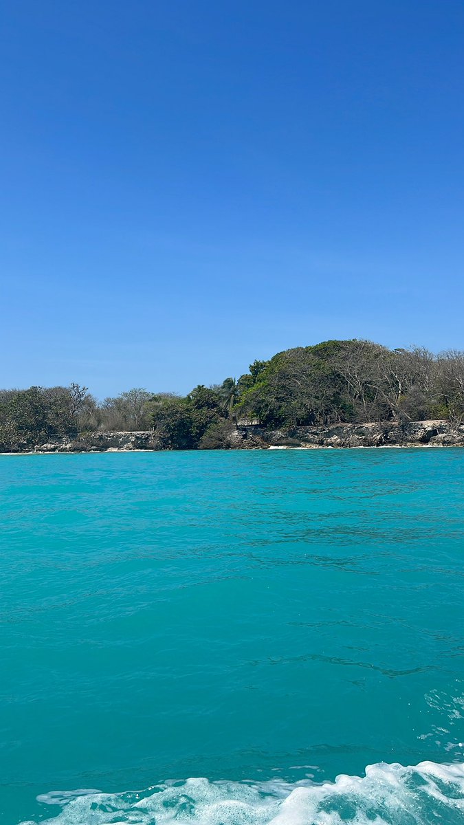 M. Camila Cardenas F., MD tweet media