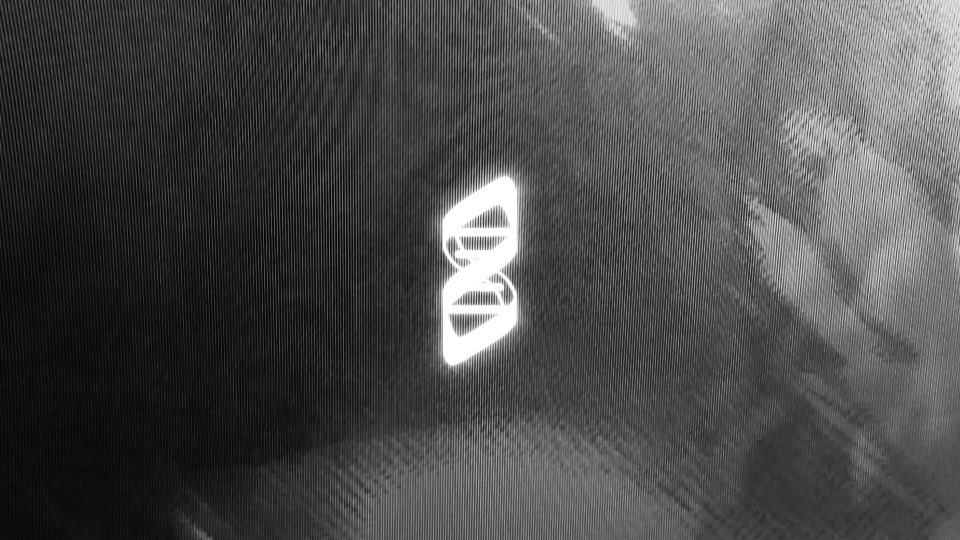 Gm!

A week of exciting trading and the boys in the discord are taking W’s 

A place where everyone feels comfortable asking for advice and making gains.