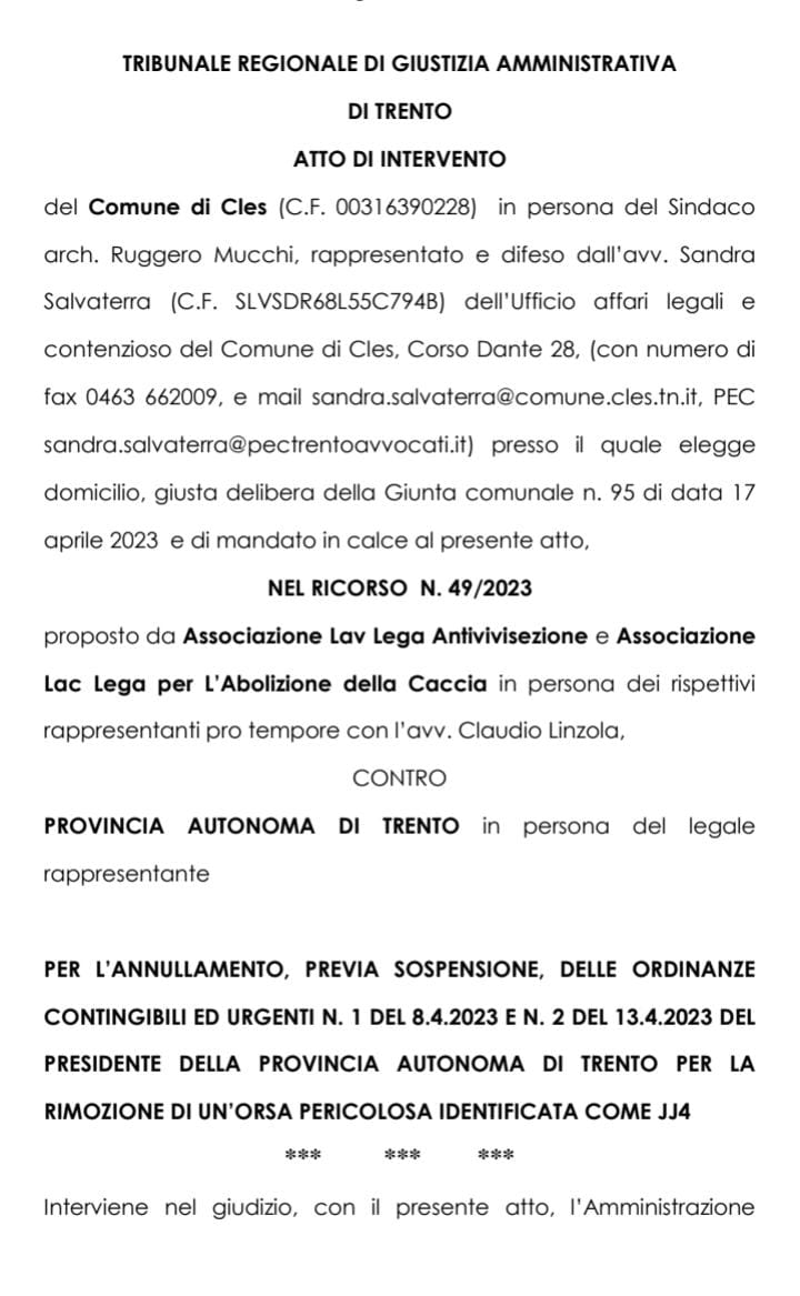 LAV_Italia's tweet photo. 🔴Riceviamo richiesta da Comuni trentini, Cles e altri, a sostegno @ProvinciaTrento richiesta risarcitoria 100mila euro al giorno perché salviamo Orsa Jj4 da uccisione! 
E' tentativo di minare utilizzo strumenti democratici e infangare decisioni Tribunali! Non ci intimoriscono! https://t.co/SpbS07RHOy