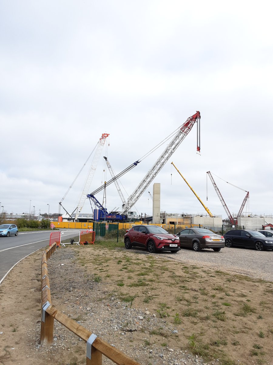 Gull Wing - Lowestoft tweet media