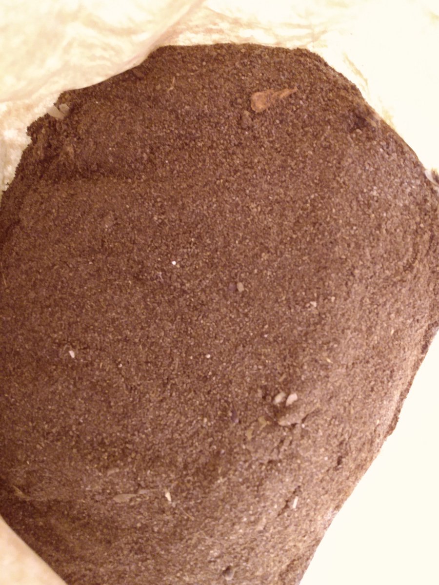 The Vacation you need 🇹🇹 on Twitter "This is what 400tt in fruit bat