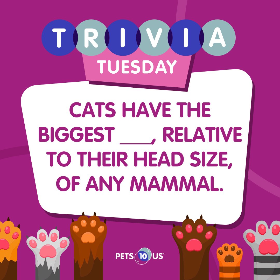 angela-on-twitter-rt-petsplususins-win-a-25-petsmart-gift-card