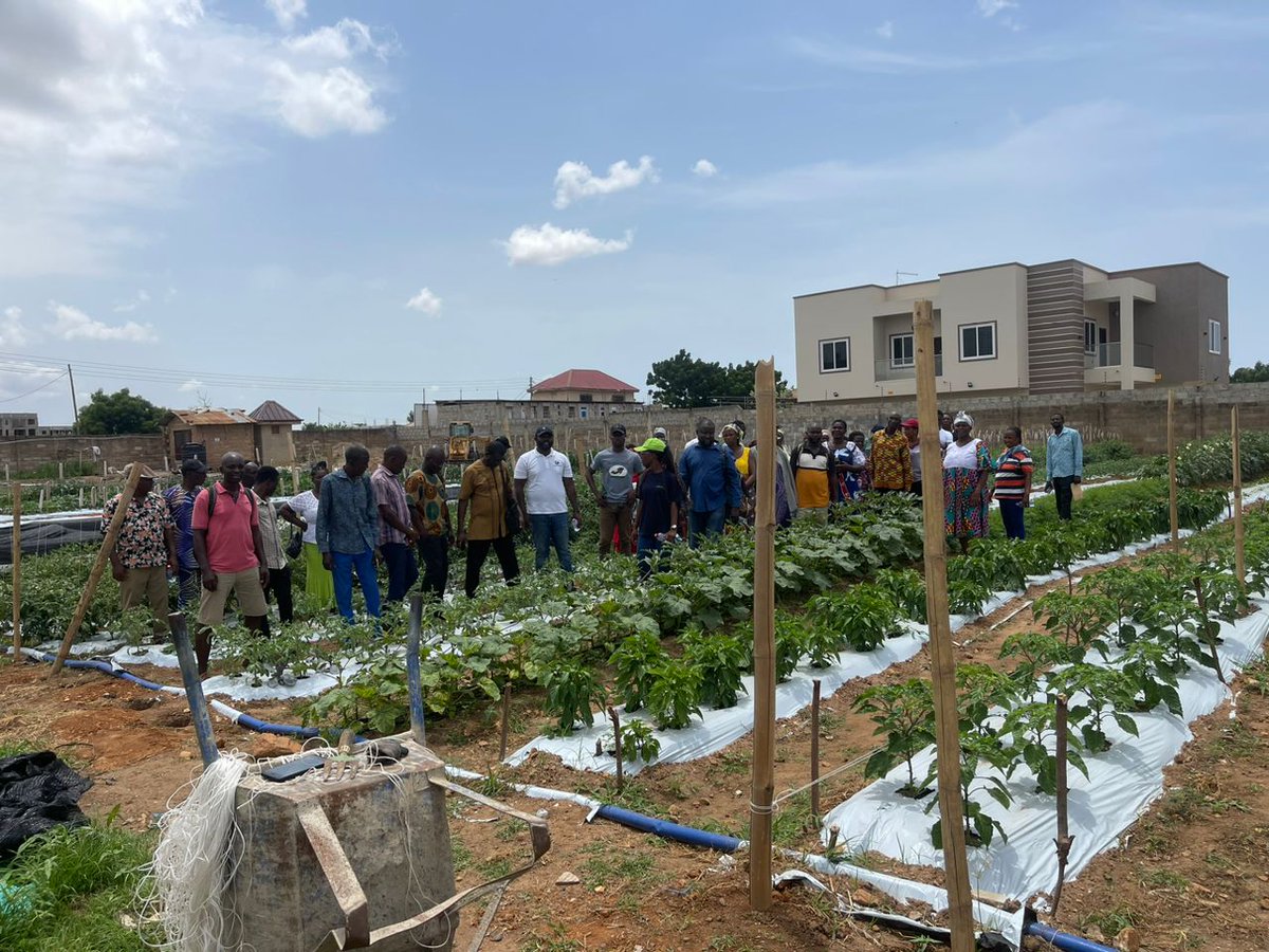 HGTGhana's tweet image. Farming for business:Empowering lead farmers through training and innovation 💪🌱 under the Archepalago project by @NLinGhana @Verheul_Jeroen  #FarmersOnTheMove #TrainingForSuccess