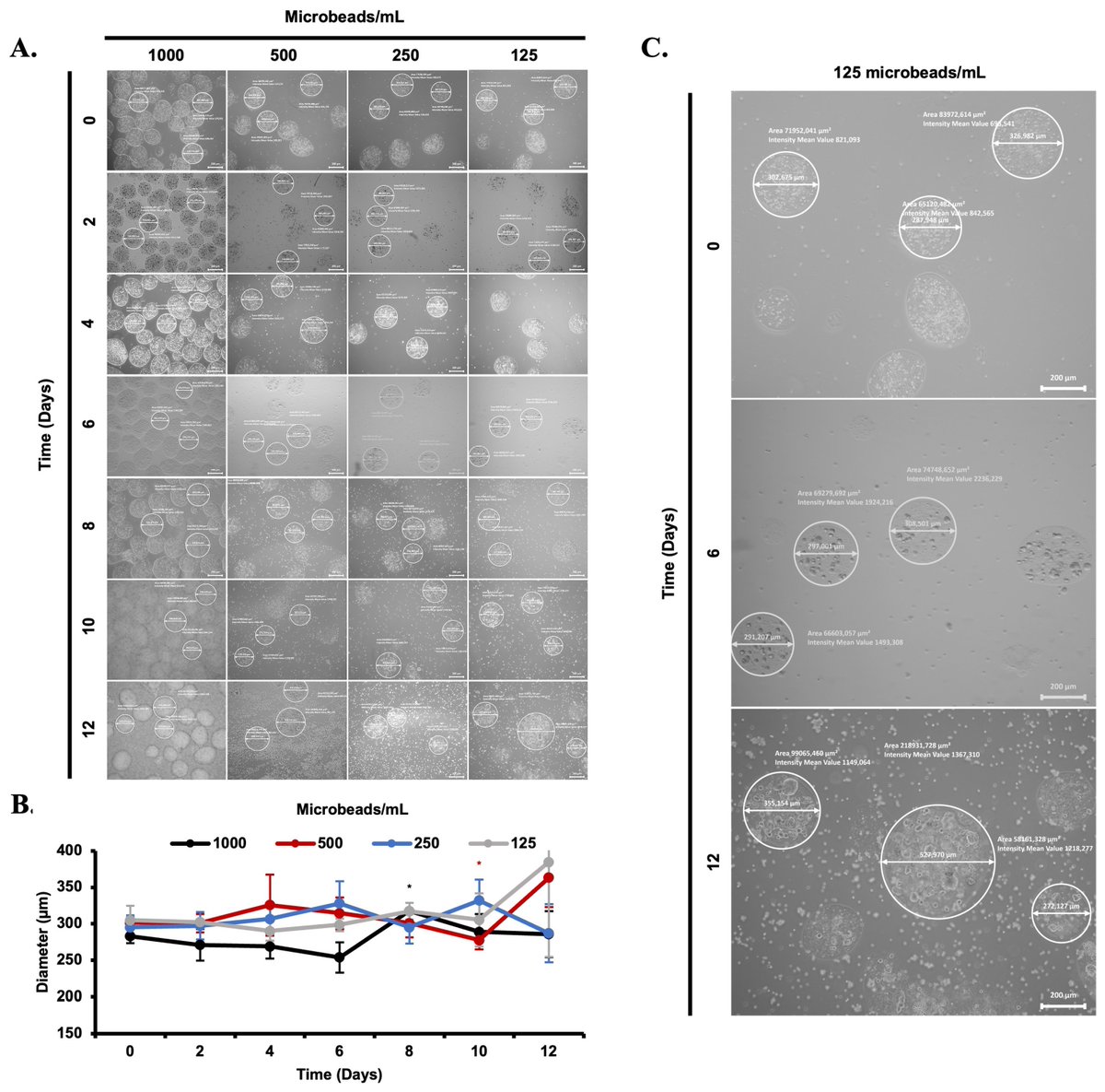 Biomim_MDPI's tweet photo. #RecommendedPaper
Preparation of Cell-Loaded Microbeads as Stable and Injectable Delivery Platforms for Tissue Engineering by Mehmet Ali Karaca, et. al.
➡️Read the full paper here: https://t.co/BNXIL9DZIC
✔️#CellDelivery; #microbeads; #encapsulation https://t.co/373CB7g7gf
