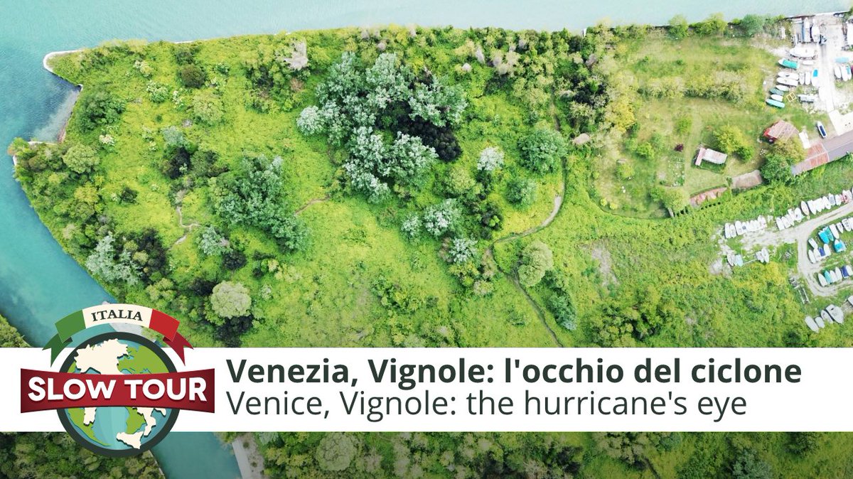 italiaslowtour's tweet photo. 🇬🇧New episode of the web series about #Venice, a UNESCO World Heritage Site! This week, we're traveling to #Vignole, a strange, almost abandoned island. This is why there is an organization trying to repopulate it by restarting agriculture...
https://t.co/rBwBUlM9ne https://t.co/JP85kjXf8r